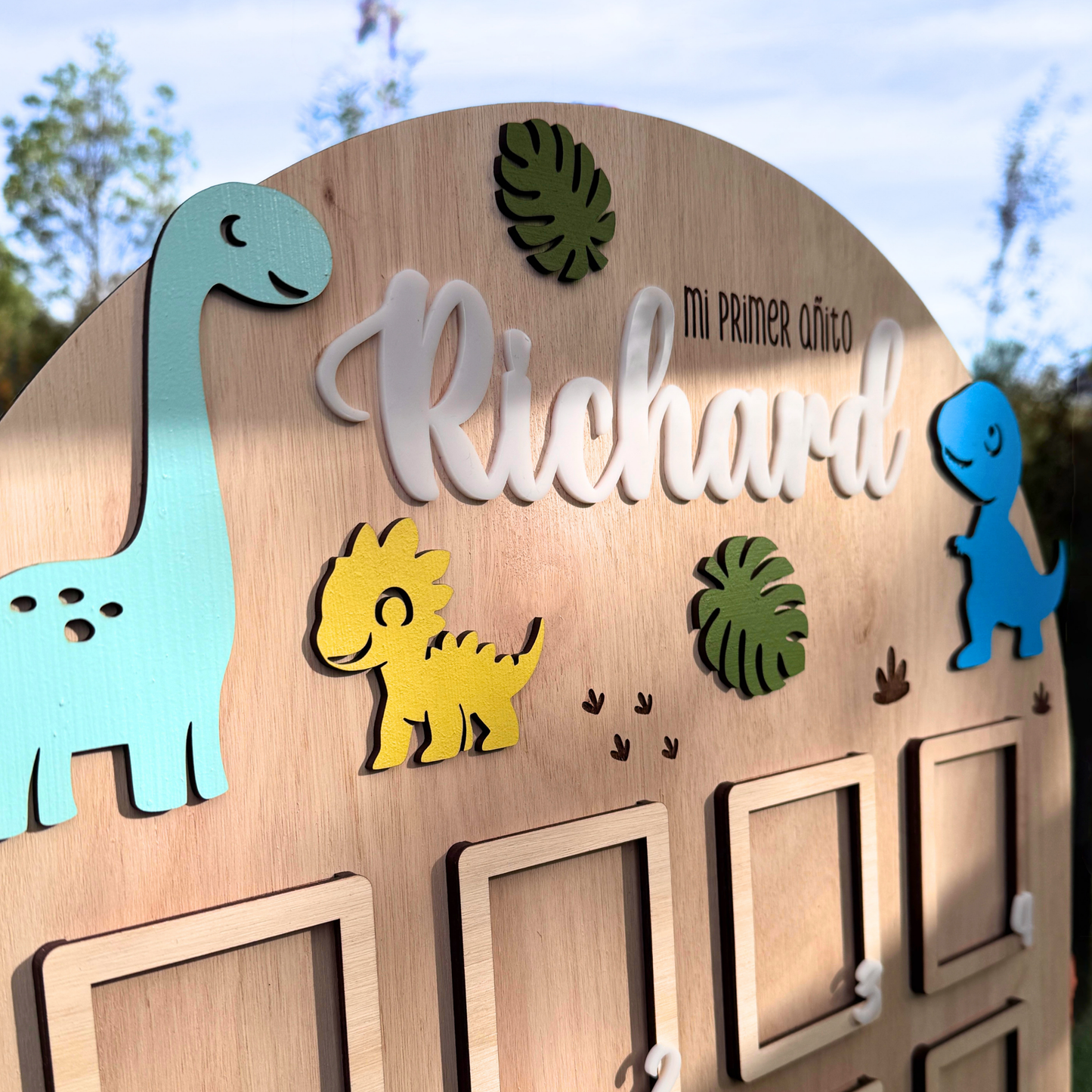 Cuadro Mi Primer Año Dinosaurios